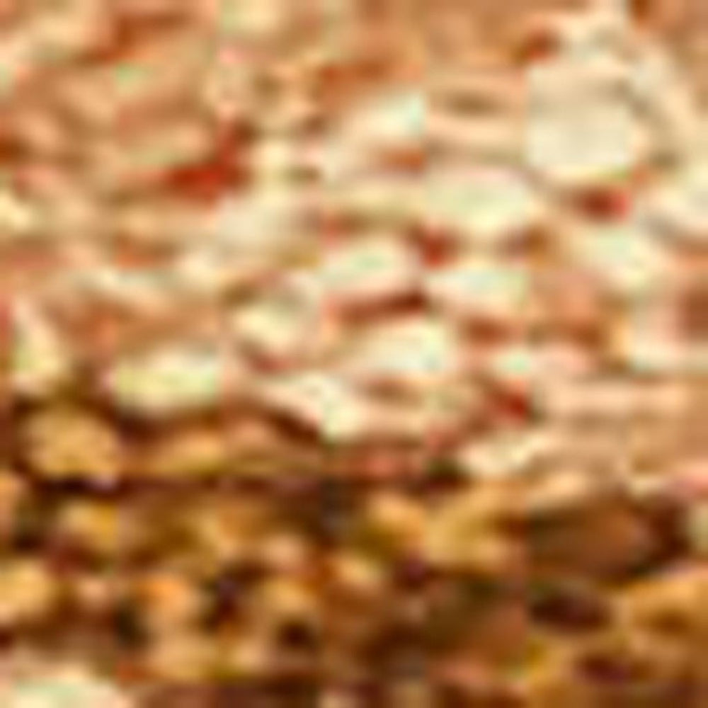 HomeRoots 5' x 8' Coastal Seashell Area Rug - Washable, Durable, Non-Slip, Perfect for Indoor & Outdoor Spaces! 691555