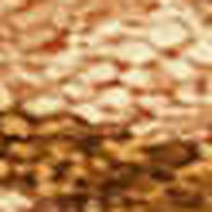 HomeRoots 9' X 12' Seashell Washable Area Rug - Coastal Charm for Indoor/Outdoor Spaces, Easy Care & Durable Design 691558