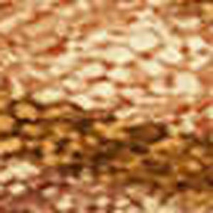 HomeRoots 9' X 12' Seashell Washable Area Rug - Coastal Charm for Indoor/Outdoor Spaces, Easy Care & Durable Design 691558