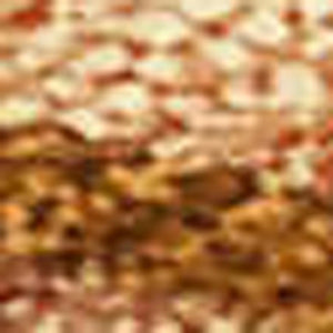 HomeRoots 10' Coastal Seashell Area Rug - Washable Indoor/Outdoor Mat in Rust, Beige & Orange for Versatile Use 691559