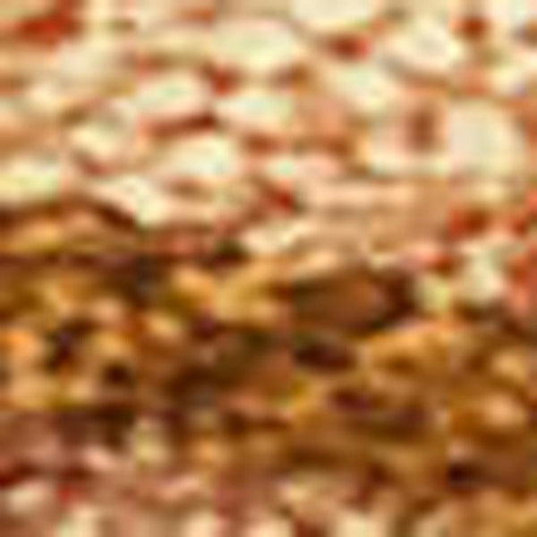 HomeRoots 10' Coastal Seashell Area Rug - Washable Indoor/Outdoor Mat in Rust, Beige & Orange for Versatile Use 691559