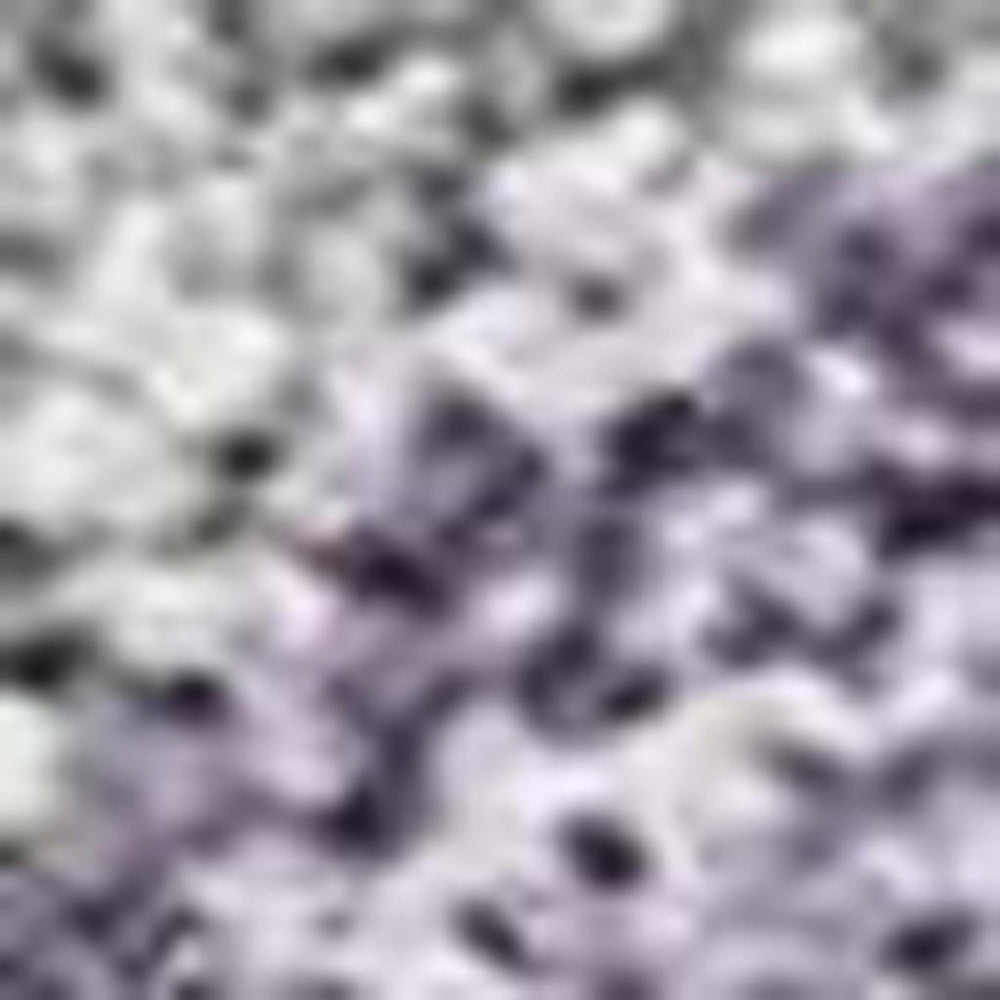 HomeRoots 5' Coastal Seashell Area Rug in Purple & Silver - Washable, Durable, Stylish for Indoor/Outdoor Use 691567
