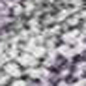 HomeRoots 8' X 10' Coastal Purple and Silver Seashell Area Rug - Stylish, Washable, Indoor/Outdoor Charm! 691569