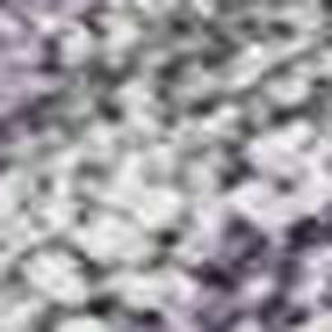 HomeRoots 9' Purple and Silver Seashell Area Rug – Washable Indoor/Outdoor Design for Coastal Charm & Durability 691570