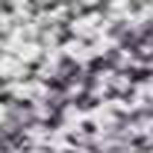HomeRoots 10' Purple and Silver Seashell Washable Area Rug - Durable Indoor/Outdoor Coastal Charm for Any Space 691571