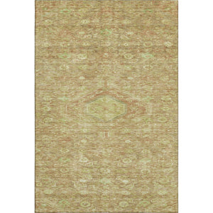 HomeRoots 5' X 8' Terra Cotta Floral Area Rug - UV Protection, Stain-Resistant, Durable for High-Traffic Homes 691808
