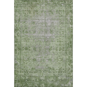 HomeRoots 5' X 8' Fern Green & Silver Oriental Area Rug - Washable, UV Protected, Stain Resistant for Busy Homes 691928