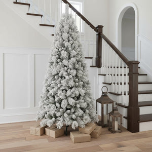 HomeRoots 6' Slender Flocked Pine Christmas Tree - Elegant Snow-Dusted Design for Space-Saving Holiday Decor 84 692834