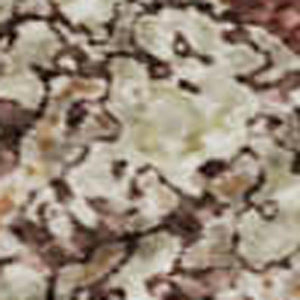 HomeRoots 5' X 8' Washable Area Rug in Rust, Beige & Peach - UV Protected, Stain Resistant, Durable Design! 693050