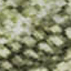 HomeRoots 5' X 8' Artichoke Green & Gray Abstract Washable Area Rug with UV Protection for Busy Homes 695326