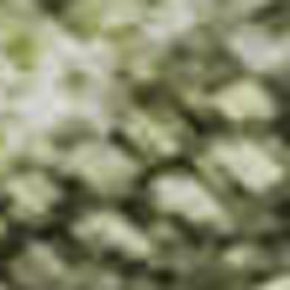 HomeRoots 9' X 12' Artichoke Green Gray Silver Contemporary Abstract Washable Area Rug with UV Protection 695329