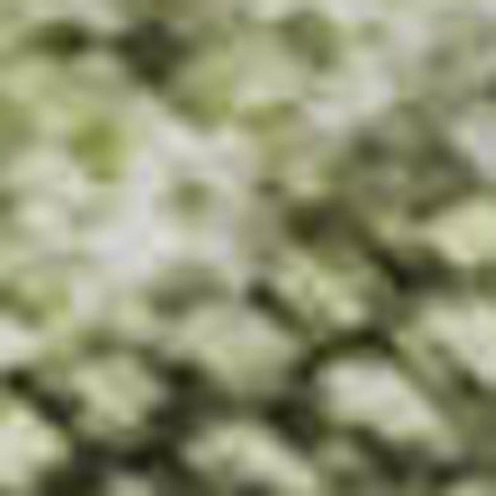 HomeRoots 10' X 14' Abstract Artichoke Green Gray & Silver Area Rug – Washable, UV-Protected & Stain-Resistant! 695330