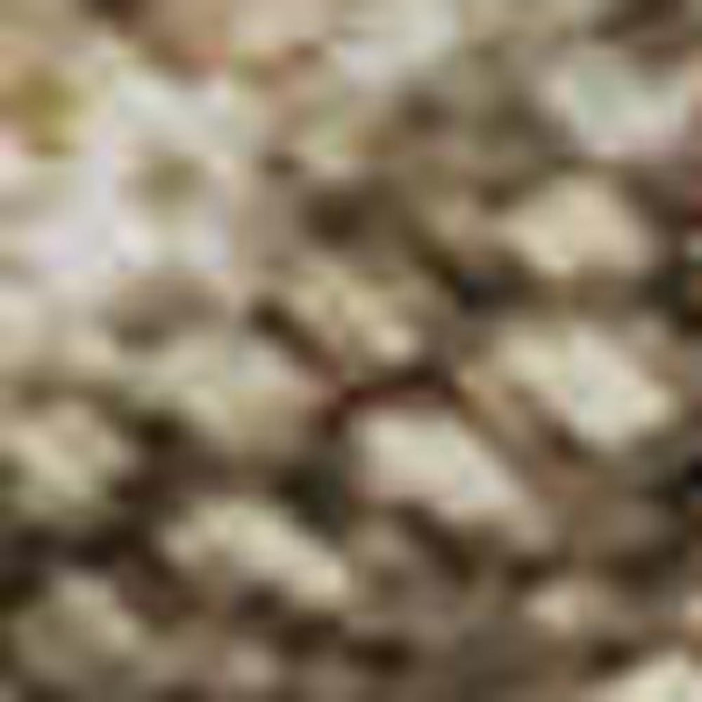 HomeRoots 9' X 12' Washable Beige Gray Khaki Abstract Area Rug – Stain Resistant, UV Protected, Soft & Stylish! 695335