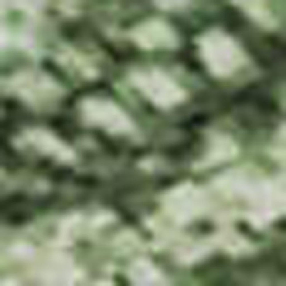 HomeRoots 10' Sage and Teal Abstract Area Rug - Washable, Stain Resistant, UV Protected for Stylish Homes 695348