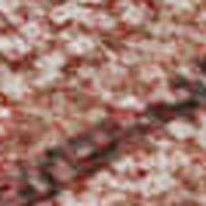 HomeRoots 8' X 10' Washable Terra Cotta Salmon Blush Area Rug with UV Protection, Non-Slip Backing & Stain Resistance 695418