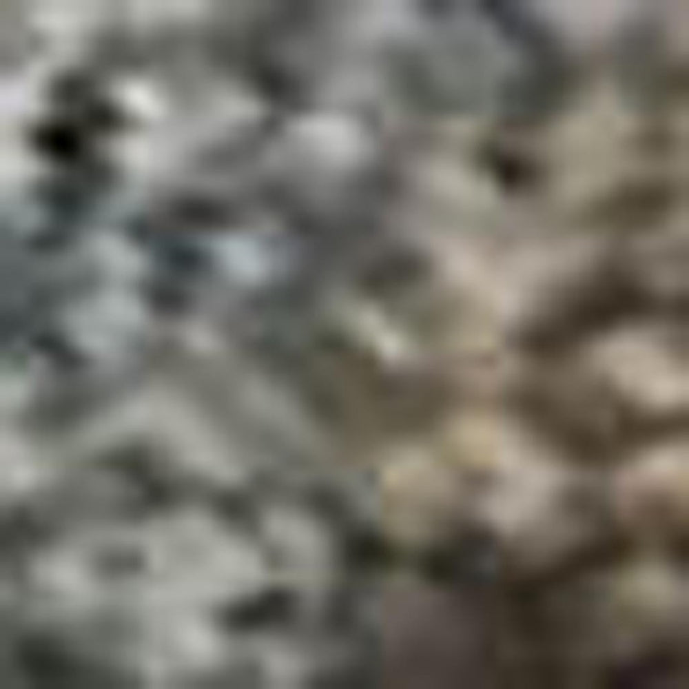 HomeRoots 8' X 10' Brown & Beige Washable Oriental Area Rug – Durable, Stain Resistant, UV Protected & Non-Slip 695832