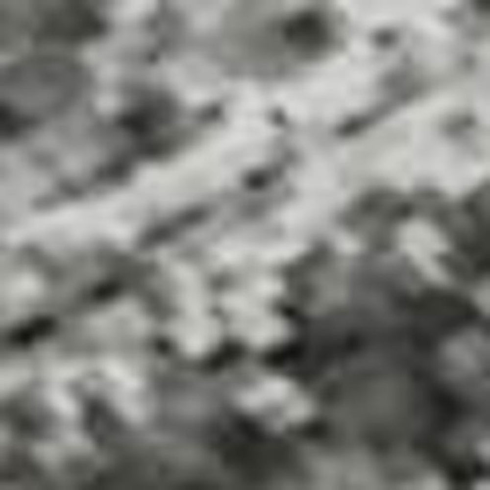 HomeRoots 5' X 8' Gray and Silver Oriental Area Rug - Durable, Washable, UV Protected, Perfect for High-Traffic Areas 695848