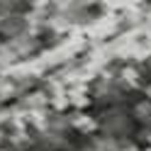 HomeRoots 5' X 8' Gray and Silver Oriental Area Rug - Durable, Washable, UV Protected, Perfect for High-Traffic Areas 695848