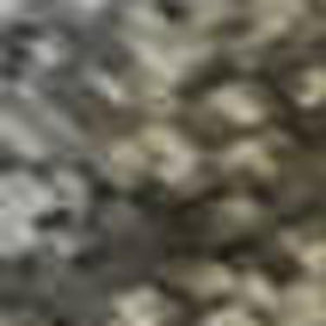 HomeRoots 5' X 8' Pewter and Gray Oriental Washable Area Rug – Stain Resistant, UV Protected, Easy Care Elegance 695854