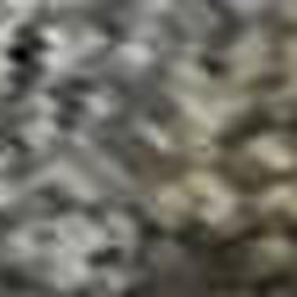 HomeRoots 8' X 10' Pewter and Gray Oriental Area Rug - Stylish, Washable, UV-Protected, Perfect for Busy Homes! 695856