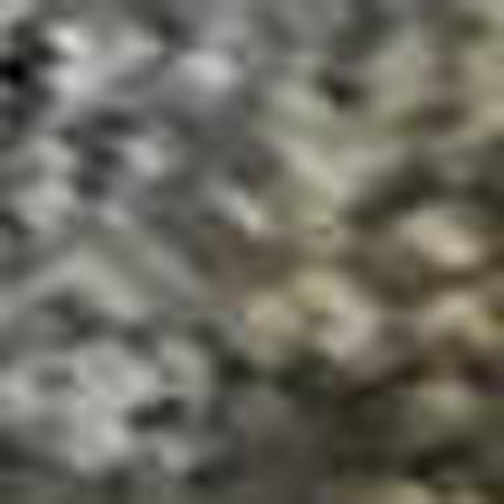 HomeRoots 9' X 12' Pewter and Gray Oriental Area Rug - Washable, UV-Protected, Durable for Busy Homes 695857