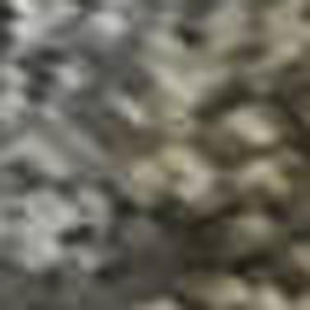 HomeRoots 10' X 14' Pewter Gray Oriental Washable Area Rug with UV Protection - Stylish, Durable, and Family-Friendly 695858