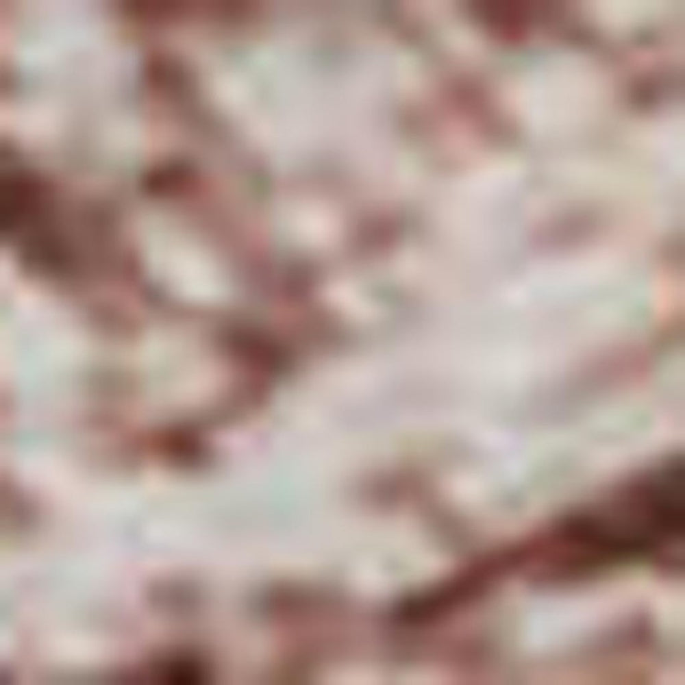 HomeRoots 5' X 8' Blush and Pink Oriental Area Rug - Washable, UV Protected, Pet-Friendly for Any Room 695938