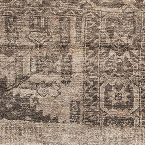 HomeRoots 9' X 12' Brown And Taupe Oriental Area Rug - Durable, Stain Resistant, UV Protected for Homes & Pets 695947
