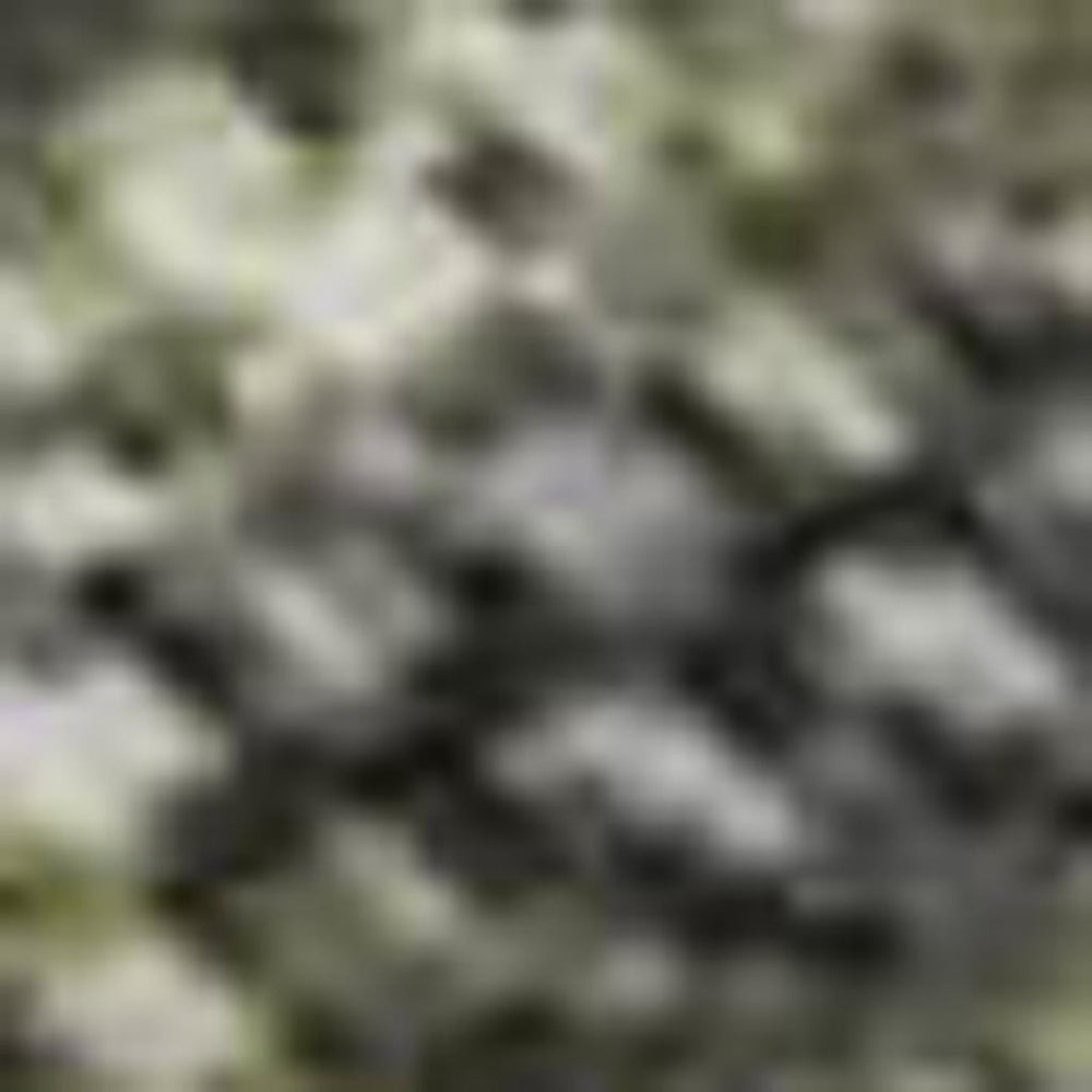 HomeRoots 10' Modern Green Gray Gold Abstract Washable Area Rug - UV Protected, Durable, Perfect for Homes! 695990