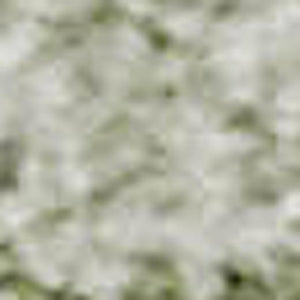 HomeRoots 5' X 8' Stylish Sage & Ivory Abstract Area Rug - Washable, UV Protected, Durable & Non-Slip Backing! 696028
