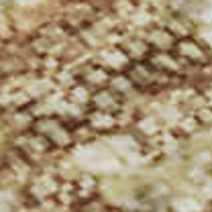 HomeRoots 5' X 8' Stylish Coral Ivory Beige Abstract Area Rug – Durable, Stain Resistant, UV Protected Design 696154