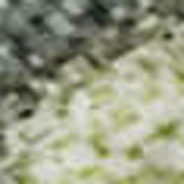 HomeRoots 8' X 10' Artichoke Green & Gray Abstract Area Rug - Washable, UV Protected, Stain Resistant & Stylish 697660