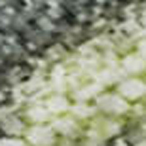 HomeRoots 8' X 10' Artichoke Green & Gray Abstract Area Rug - Washable, UV Protected, Stain Resistant & Stylish 697660