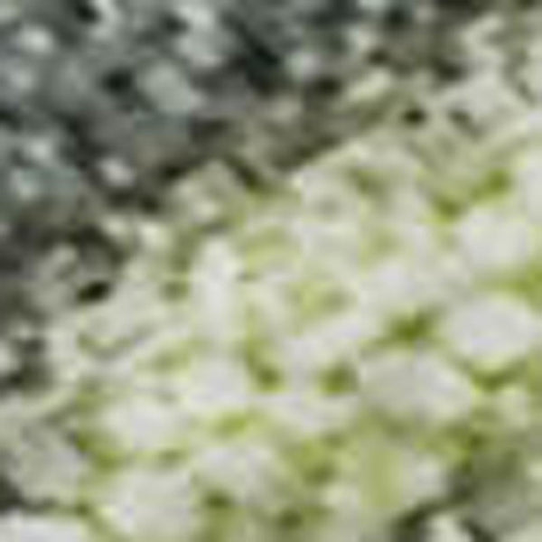 HomeRoots 8' X 10' Artichoke Green & Gray Abstract Area Rug - Washable, UV Protected, Stain Resistant & Stylish 697660