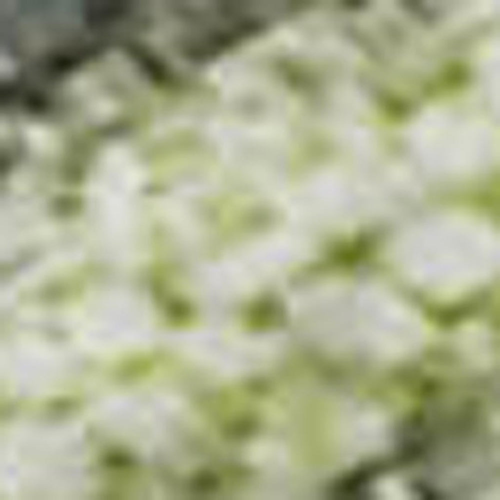 HomeRoots 9' X 12' Artichoke Green & Gray Abstract Washable Area Rug - Durable, UV-Protected, Pet-Friendly Design 697661