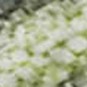 HomeRoots 9' X 12' Artichoke Green & Gray Abstract Washable Area Rug - Durable, UV-Protected, Pet-Friendly Design 697661
