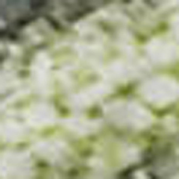 HomeRoots 9' X 12' Artichoke Green & Gray Abstract Washable Area Rug - Durable, UV-Protected, Pet-Friendly Design 697661