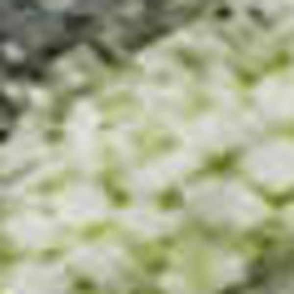 HomeRoots 10' Artichoke Green & Gray Abstract Washable Area Rug – UV Protected, Non-Slip, Perfect for Living Spaces 697662