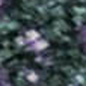 HomeRoots 8' Washable Abstract Area Rug in Purple, Lime Green & Teal - UV Resistant, Non-Slip, Durable Design 698063