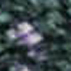 HomeRoots 10' X 14' Vibrant Purple, Lime Green & Teal Abstract Washable Area Rug with UV Protection & Durability 698065