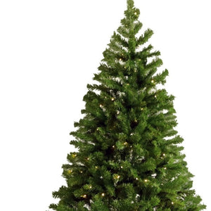 HomeRoots 6' Pre Lit Full Spruce Christmas Tree - Realistic Green Needles, 200 LED Lights, Easy Assembly & Storage 698939