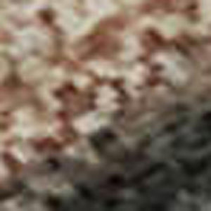 HomeRoots 8' X 10' Washable Rust and Charcoal Animal Print Area Rug with UV Protection for Homes with Kids & Pets 698978