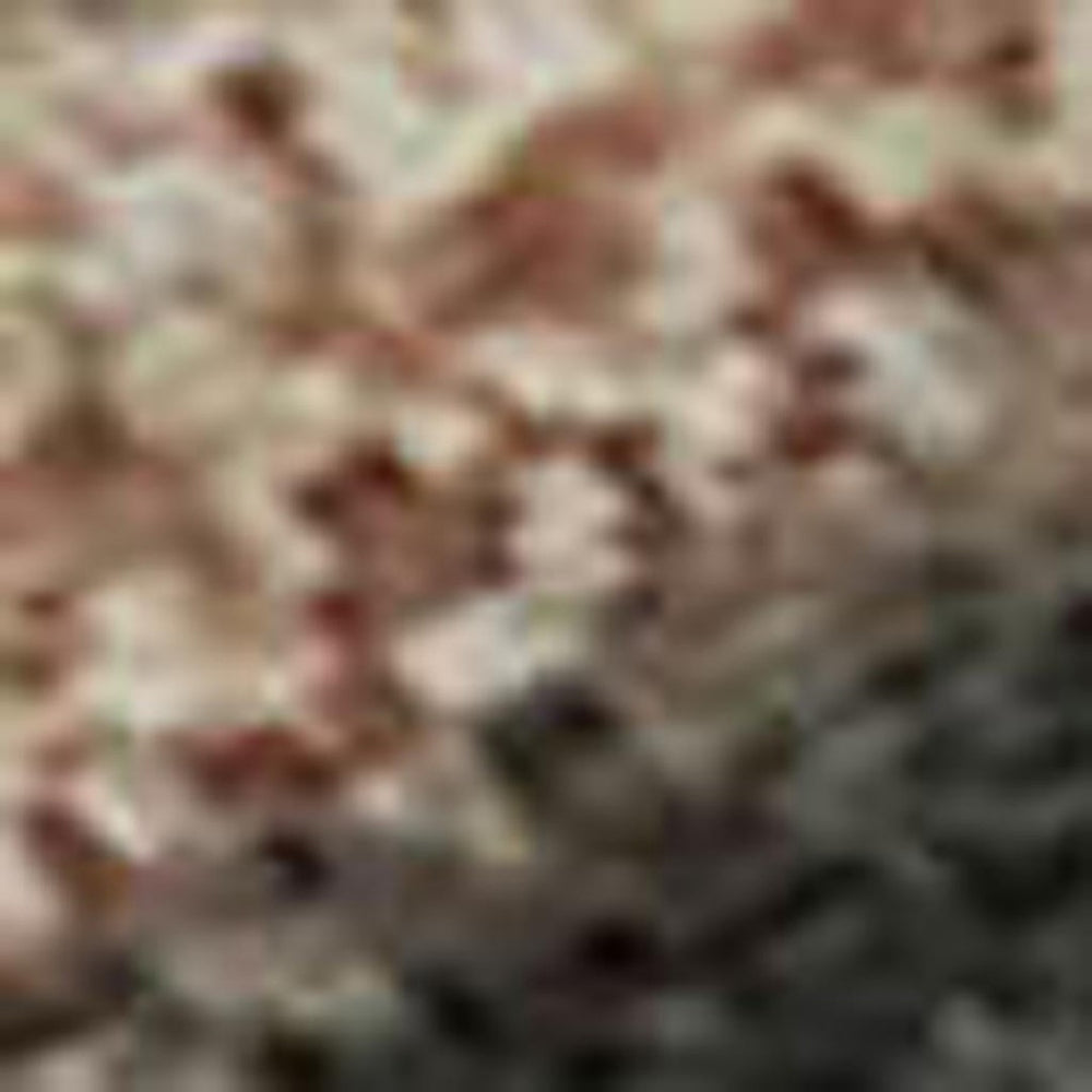 HomeRoots 10' X 14' Stylish Rust & Charcoal Animal Print Area Rug - Washable, UV Protected, Durable Design 698980