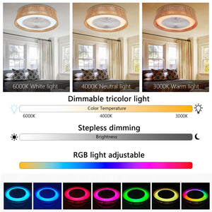 English Elm 21" Modern Rustic Ceiling Fan Light with Rope Woven Shade, LED RGB Dimmable, Quiet DC Motor, Remote Control W1340P246413