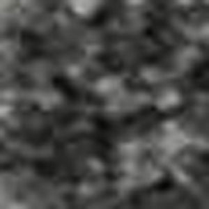 HomeRoots 5' X 8' Gray Silver Ivory Animal Print Rug - Washable, Stain Resistant, UV Protected for Modern Spaces 699042