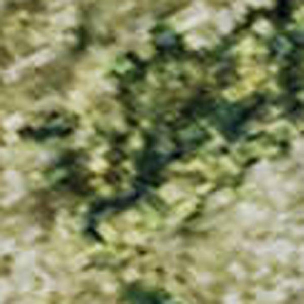 HomeRoots 10' X 14' Fern Green and Gold Abstract Area Rug - Stain Resistant, UV Protected, Non-Slip Design for Style 699154