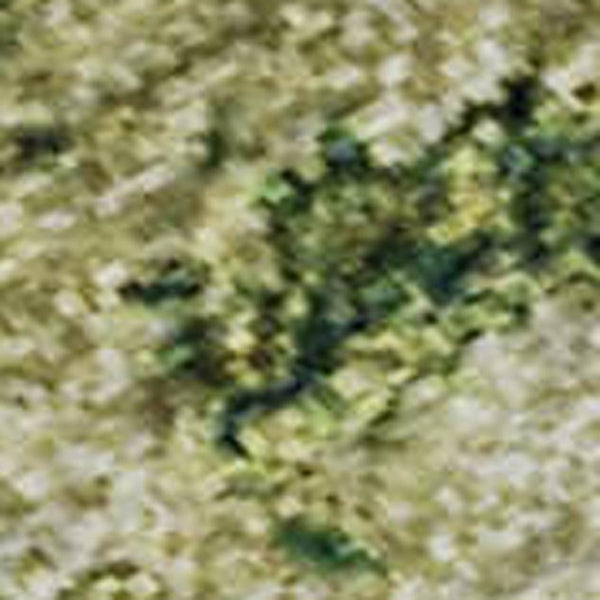 HomeRoots 10' X 14' Fern Green and Gold Abstract Area Rug - Stain Resistant, UV Protected, Non-Slip Design for Style 699154