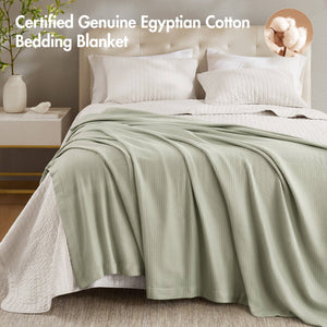 English Elm 1 Premium Twin Blanket Crafted from 100% Certified Egyptian Cotton for Luxurious Softness and Durability Sage Green 15.75 L x 12.6 W x 3.15 H B035P381291