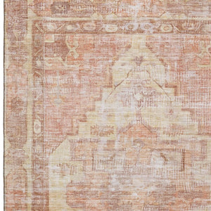 HomeRoots 5' X 8' Terra Cotta Oriental Area Rug - Washable, Stain Resistant, UV Protected for Busy Homes 699408