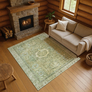 HomeRoots 8' X 10' Sage and Gray Oriental Area Rug - Durable, Washable, UV Protected for Elegant Living Spaces 699792
